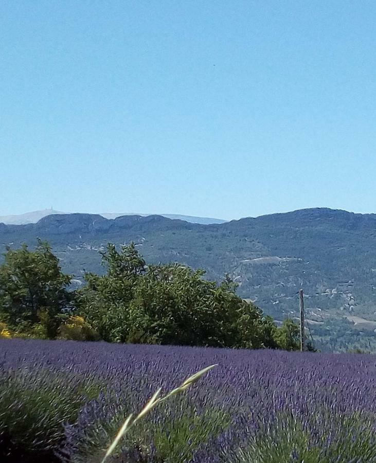 Gite La Fleur D Olivier Nyons Eksteriør bilde